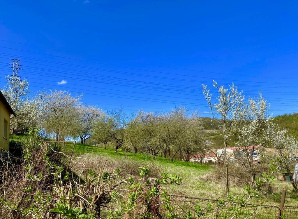 Predaj Pozemok pre RD Pozemok pre RD-Predaj-Prešov-62.00 €