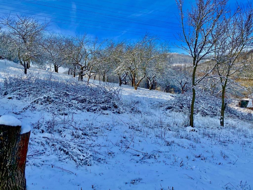 Predaj Rodinný dom Rodinný dom-Predaj-Prešov-134000.00 €