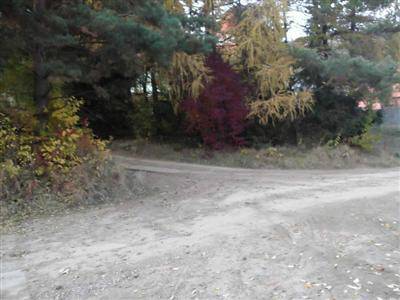 Predaj Pozemok pre RD Pozemok pre RD-Predaj-Drienica-28.00 €
