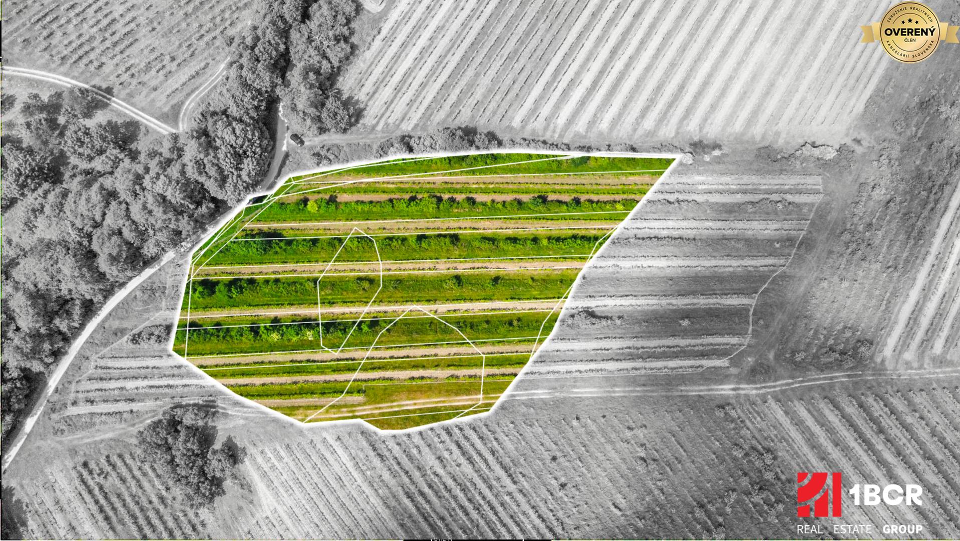 Chmelnica, vinica na predaj 9312m2, Pezinok