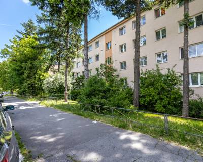 PREDANÝ 1,5izb.najkrajší výhľad v tichej lokalite, Gerlachovská