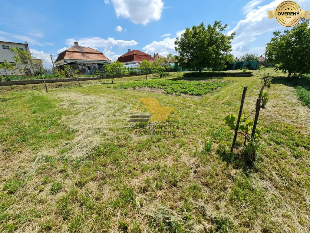 Pozemok pre RD-Predaj-Dvory nad Žitavou-61000.00 €