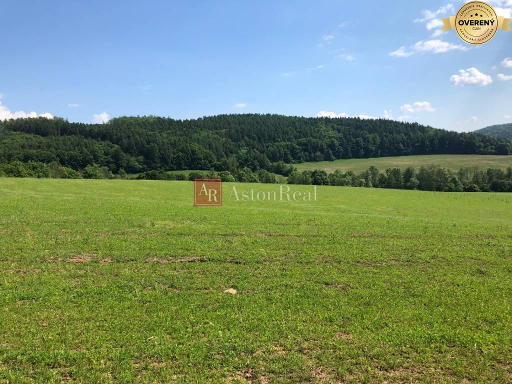 PREDAJ: Rekreačný pozemok v obci Horná Breznica- 6877m2