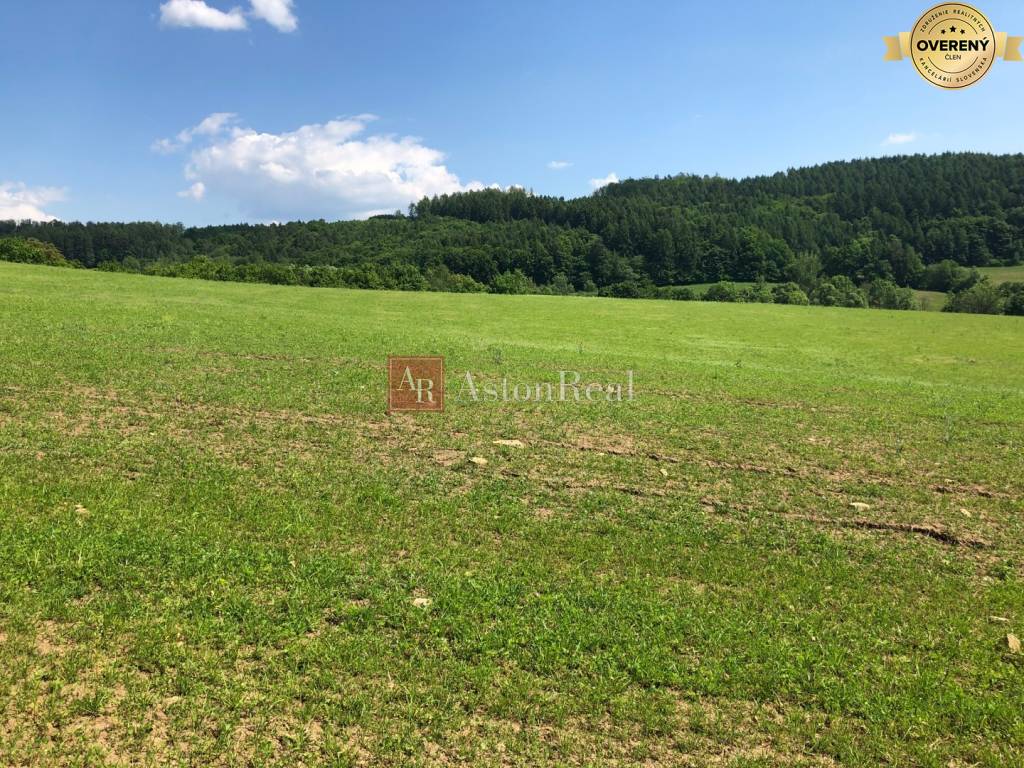 PREDAJ: Rekreačný pozemok v obci Horná Breznica- 6877m2