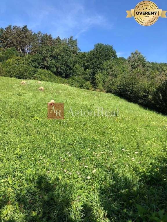 Rekreačný pozemok v skvelej lokalite priamo v Púchove- 1605m2