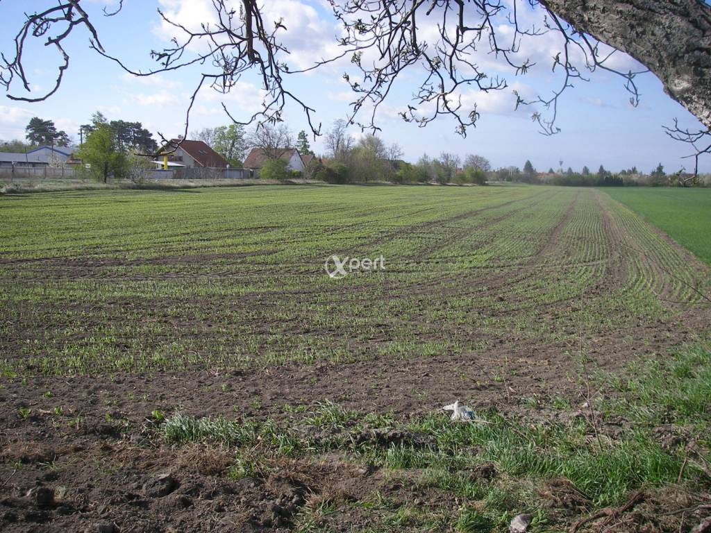 Hľadáme Poľnohospodárske a lesné pozemky v okrese Dunajská Streda