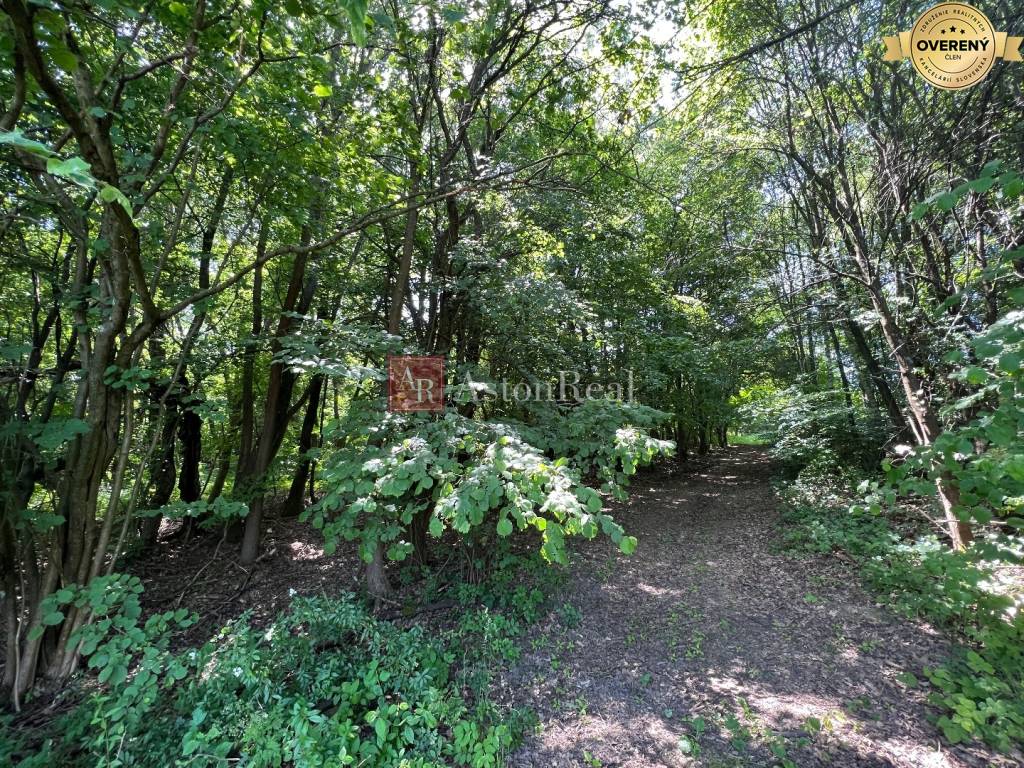 Na predaj Rekreačný pozemok v blízkosti Púchova- 3432 m2
