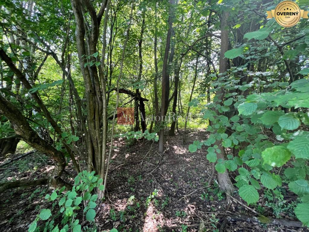 Na predaj Rekreačný pozemok v blízkosti Púchova- 3432 m2