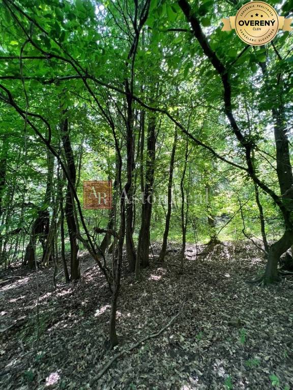 Na predaj Rekreačný pozemok v blízkosti Púchova- 3432 m2