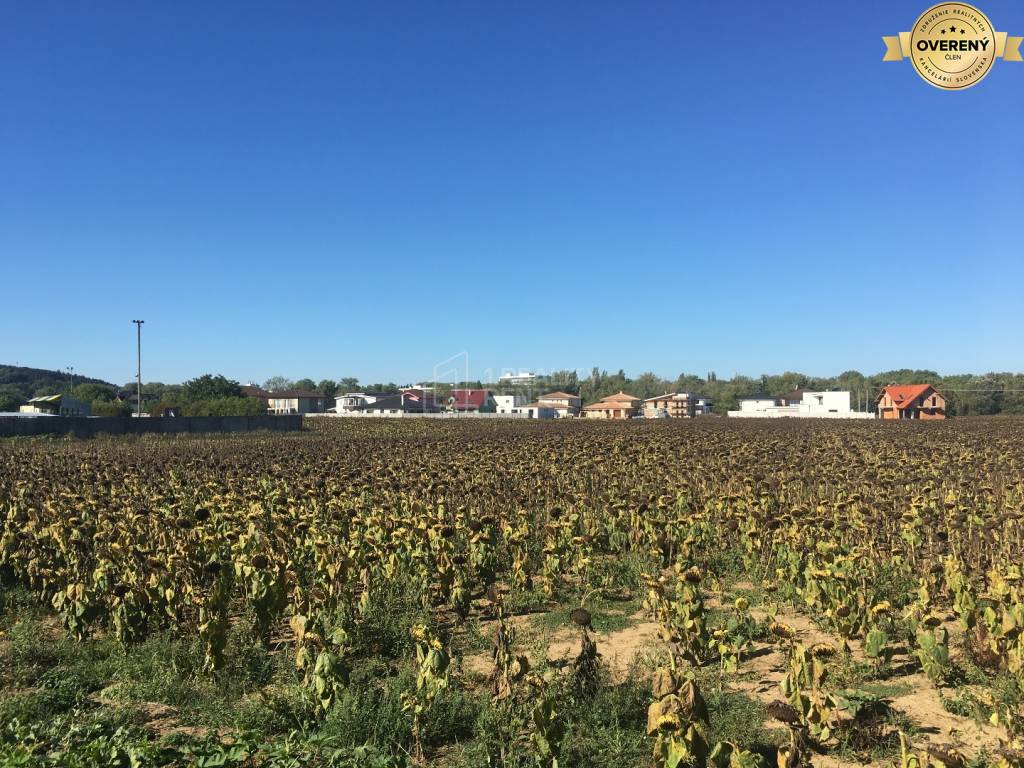 Ponúkame na predaj pozemok 1587 m2 v Moravanoch nad Váhom