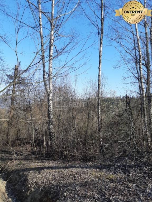 Predaj: lesný pozemok Čadca-Horelica