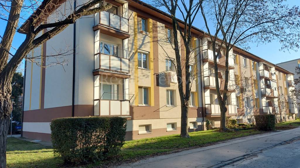 Iný-Predaj-Šaľa-85000.00 €