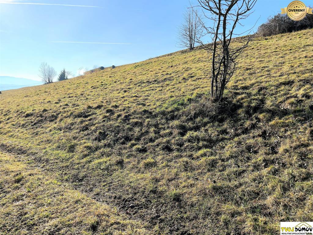 Pozemok vhodný na výstavbu rodinného domu, Hriňová - lazy