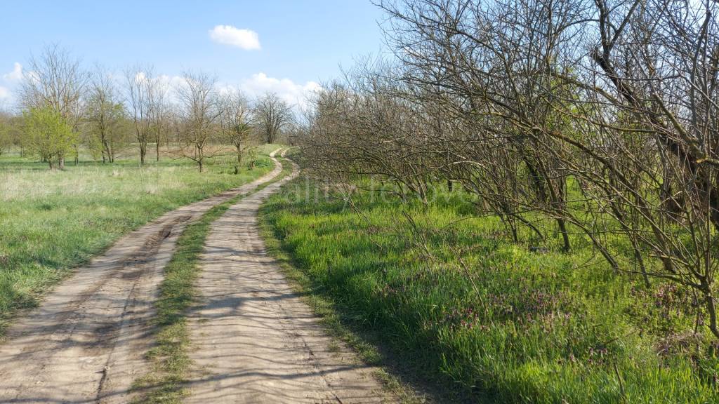 Pozemok na predaj Marcelová- predaj aj na splátky