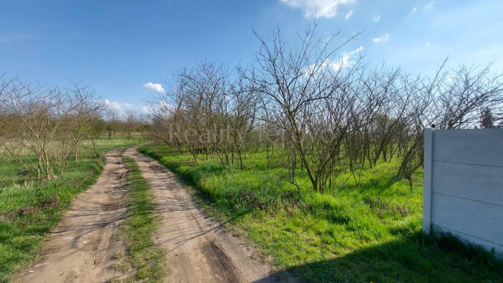 Pozemok na predaj Marcelová- predaj aj na splátky