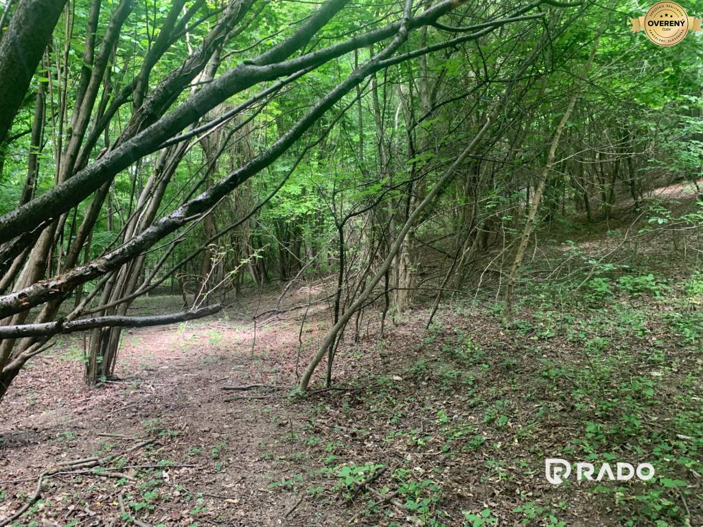 RADO | Na predaj pozemok v obci Beckov