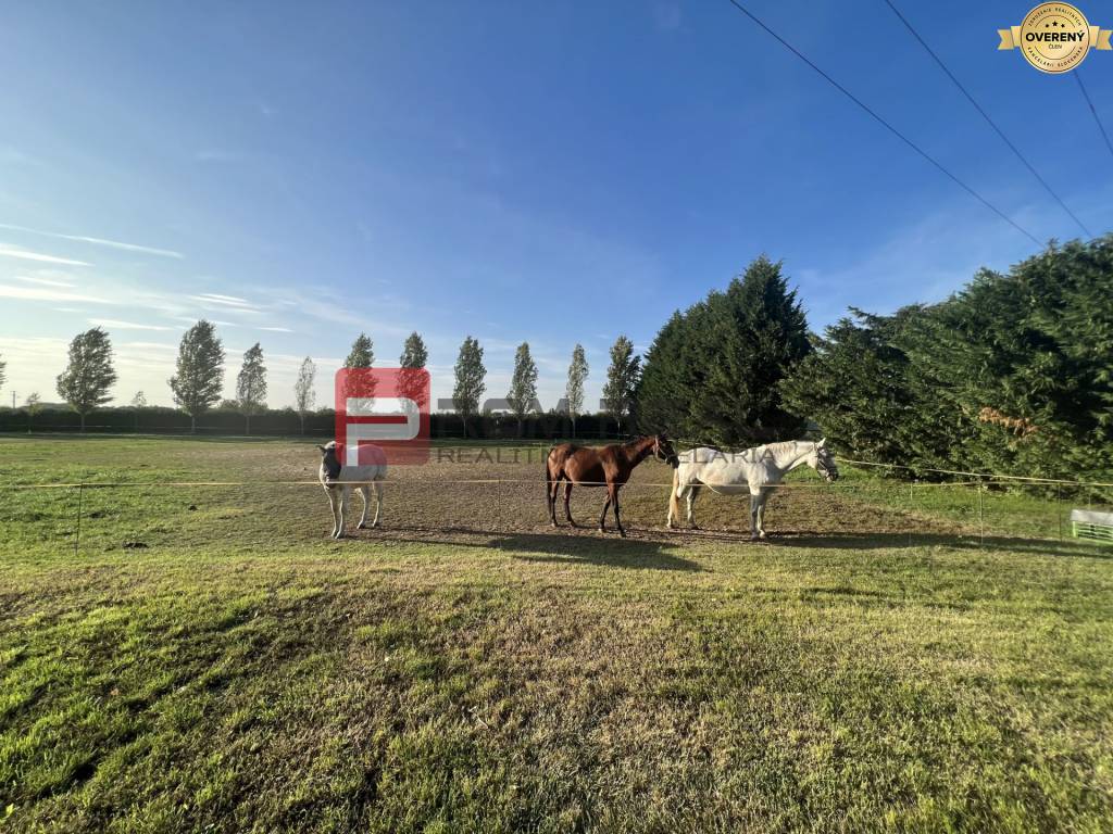 Predaj-ranč pre milovníkov koní s rozľahlými pozemkami okres Komárno