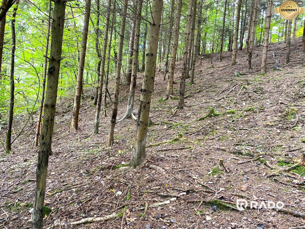 RADO | Na predaj rekreačný lesný pozemok - Brvnište.