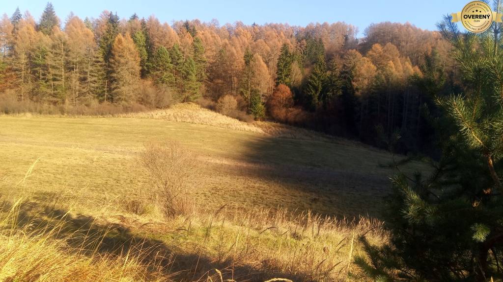 BRIEŠTIE- Hadviga lesný trávnatý pozemok 13 710 m2, vhodný na usadlosť