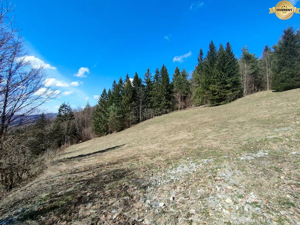 Predaj: Krásny rekreačný pozemok 2700 m2 v Terchovej (MO)