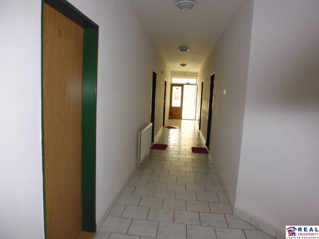 SABINOVSKÁ: Nebyt. priestory, prívod VODY, PARKOVANIE, cca 40 m2, 1.p.