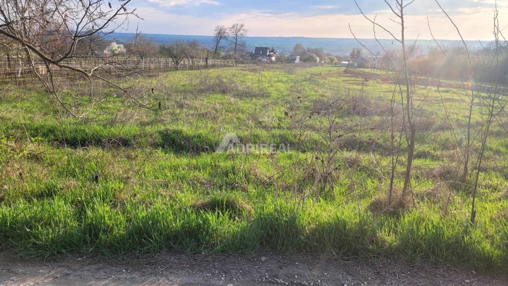 PREDAJ: Rekreačný pozemok Čechynce; 2183m2; 65.000 €