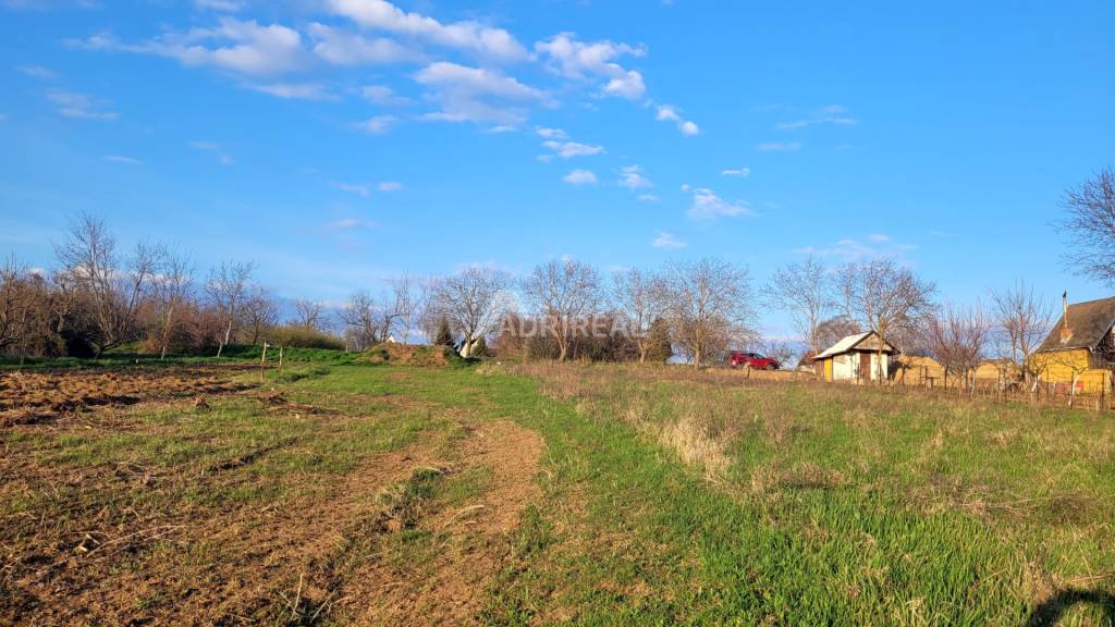 PREDAJ: Rekreačný pozemok Čechynce; 2183m2; 65.000 €