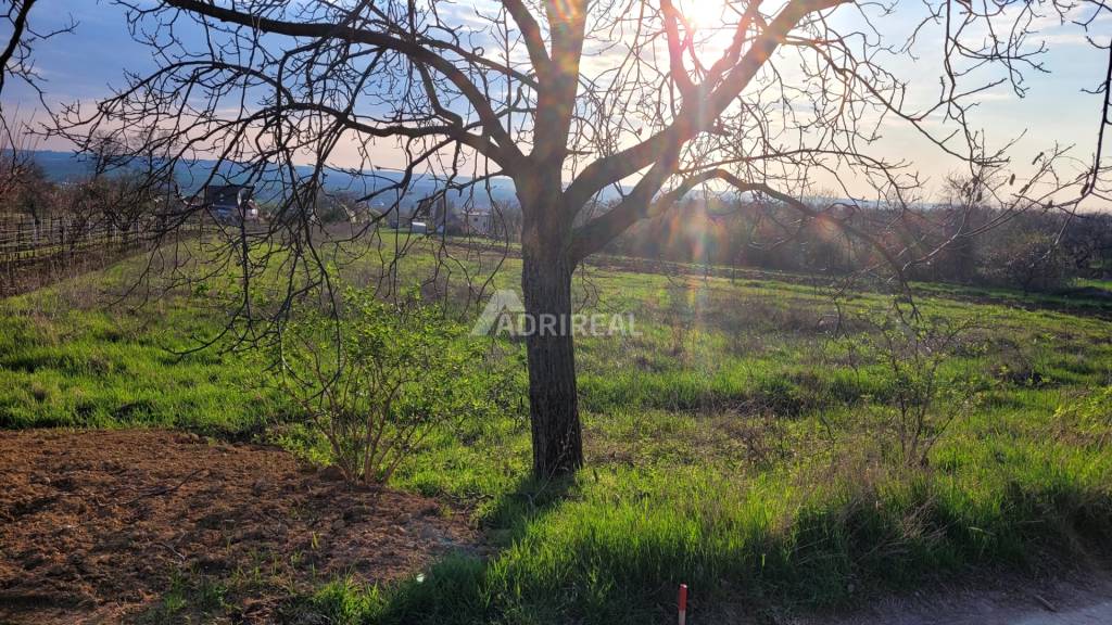PREDAJ: Rekreačný pozemok Čechynce; 2183m2; 65.000 €