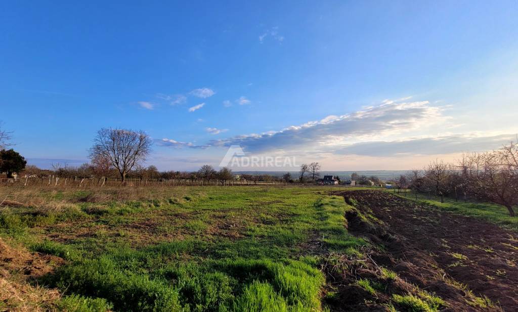 PREDAJ: Rekreačný pozemok Čechynce; 2183m2; 65.000 €