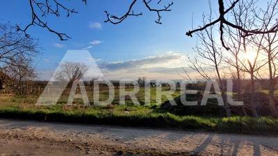 PREDAJ: Rekreačný pozemok Čechynce; 2183m2; 65.000 €
