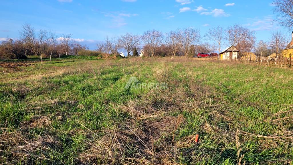 PREDAJ: Rekreačný pozemok Čechynce; 2183m2; 65.000 €
