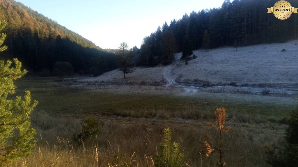 BRIEŠTIE- Hadviga lesný trávnatý pozemok 13 710 m2, vhodný na usadlosť