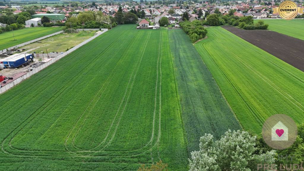 Veľký priestranný pozemok o rozlohe 7745 m2 s RD, Jelka