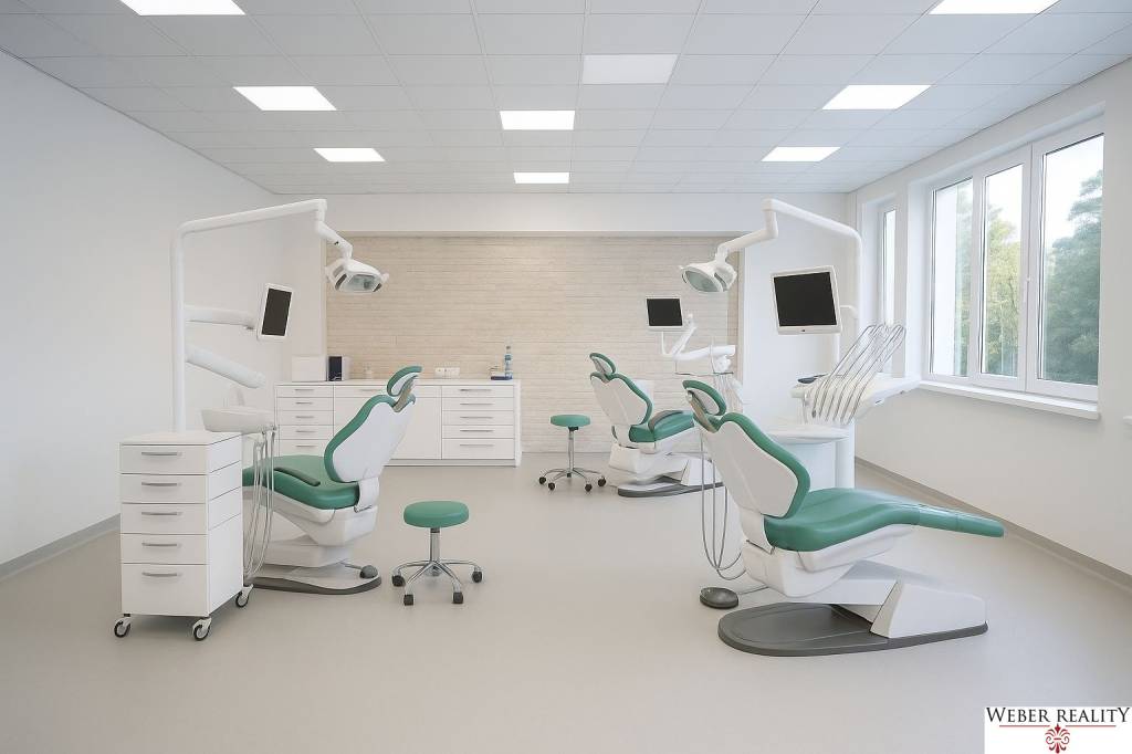 1-podlažná budova v Ružinove (Narcisova ul.) 230 m2, otvorený priestor