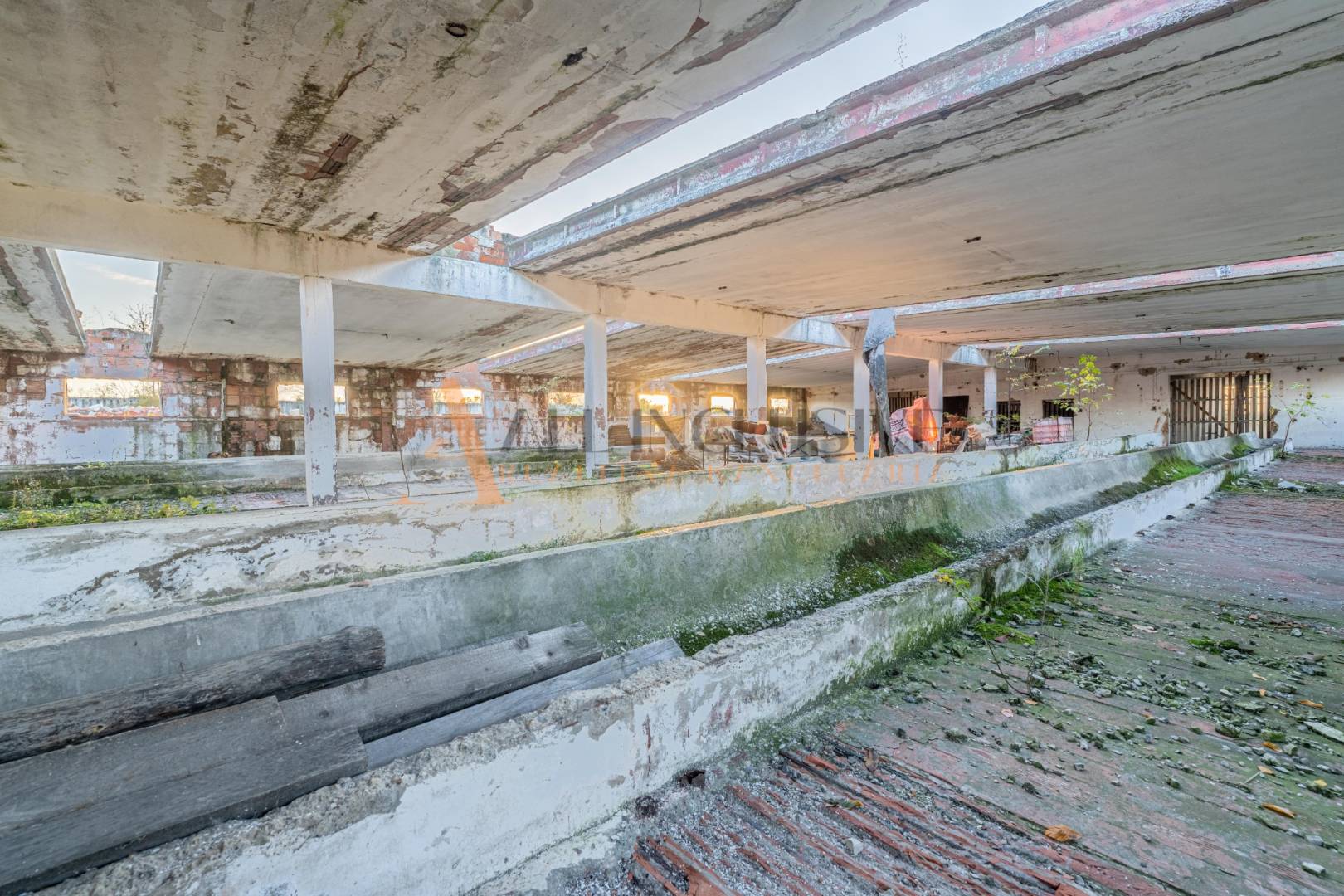 External property image