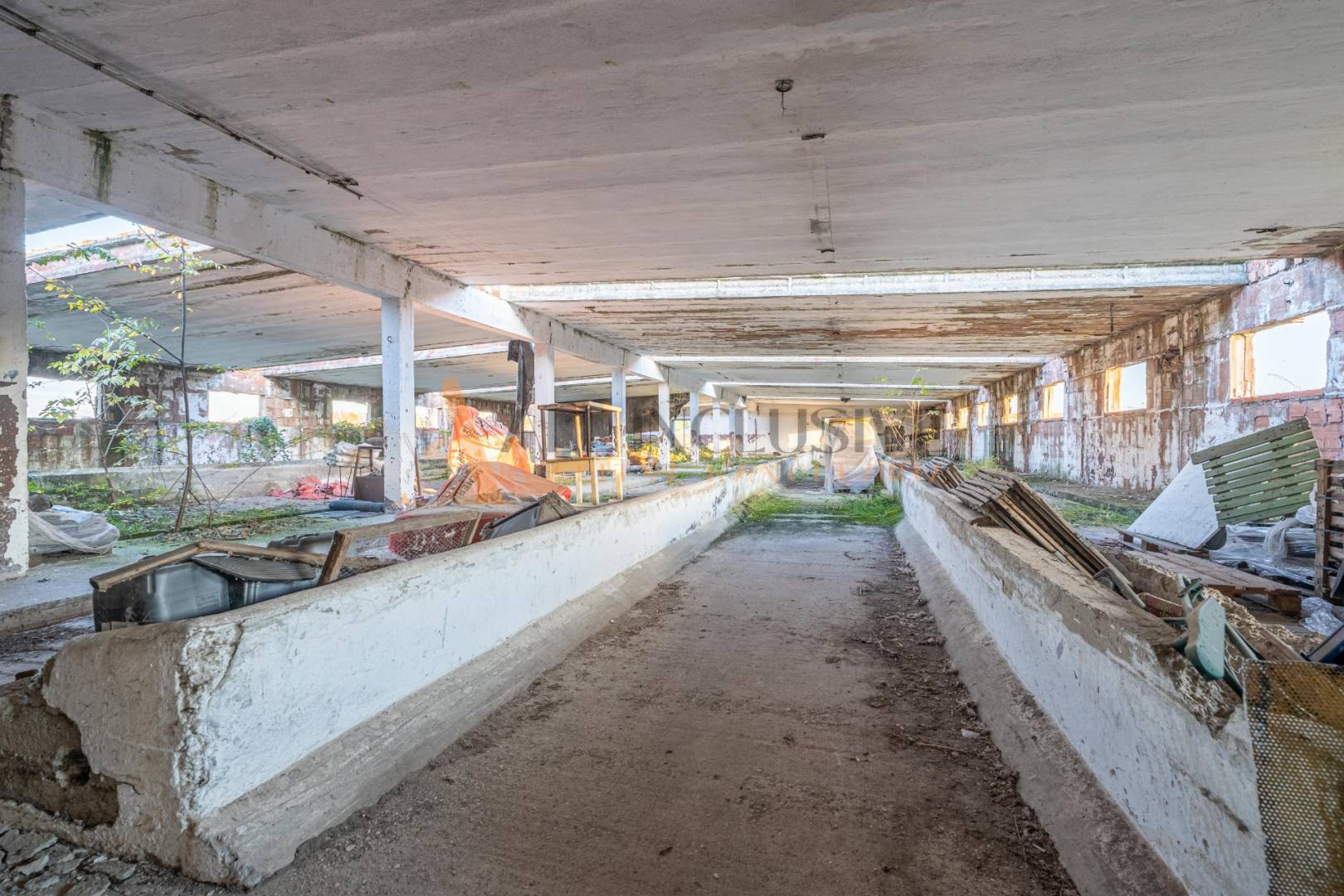 External property image