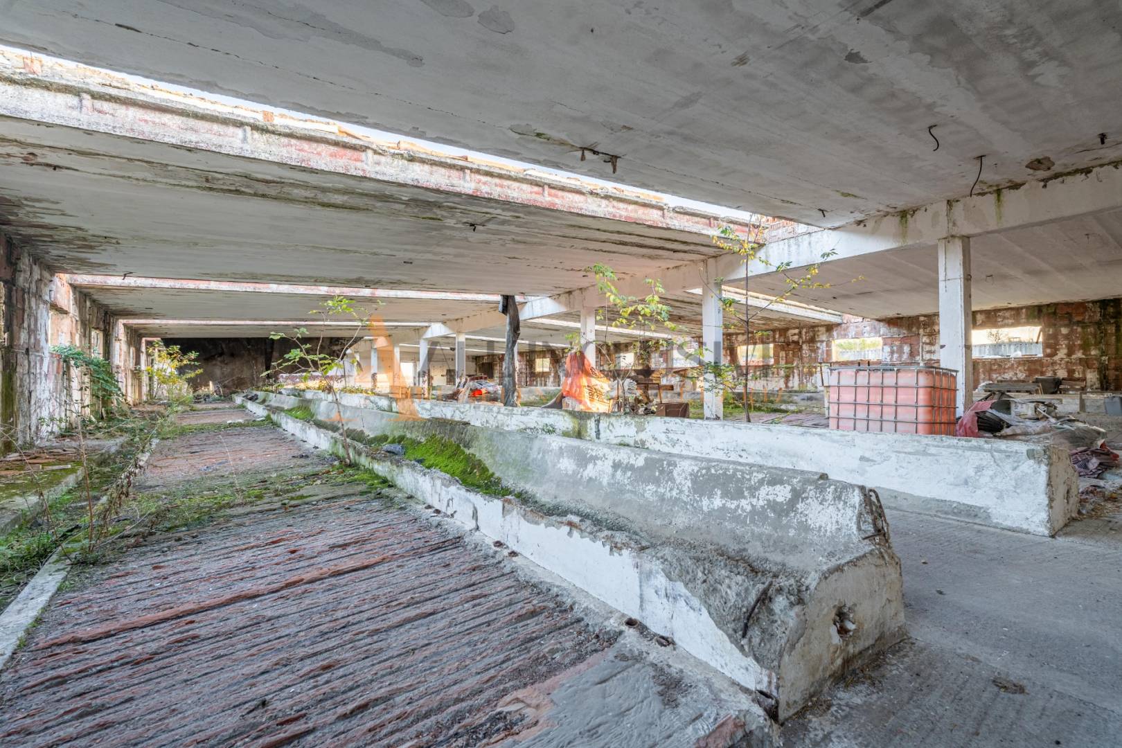 External property image