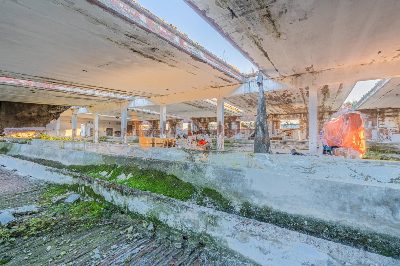 External property image