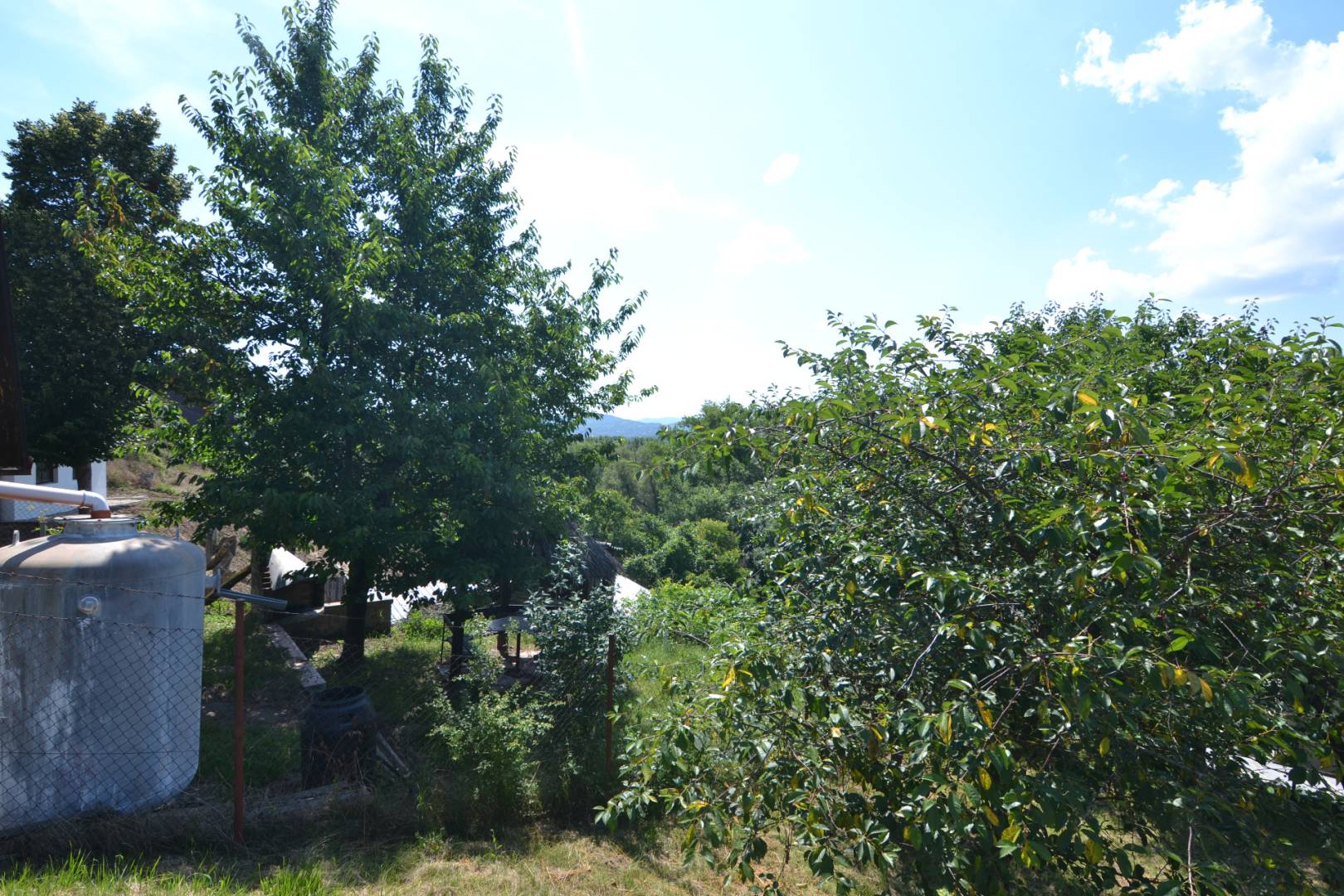 External property image