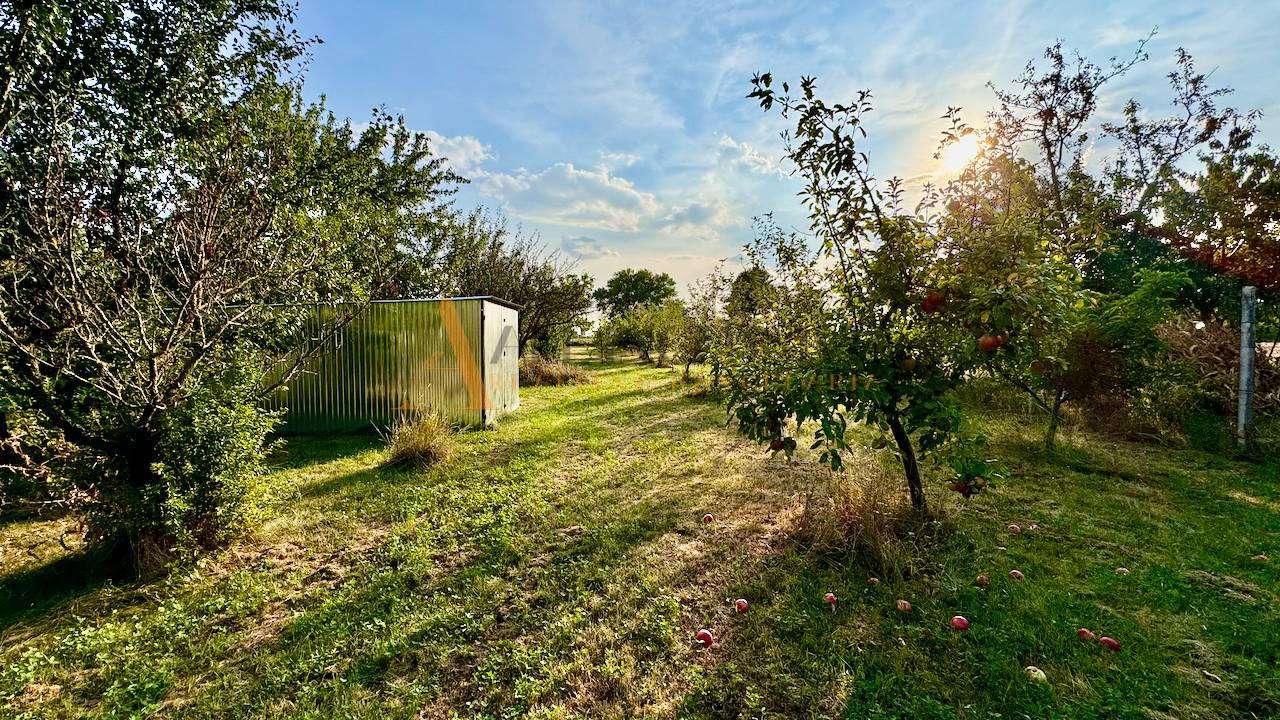 External property image