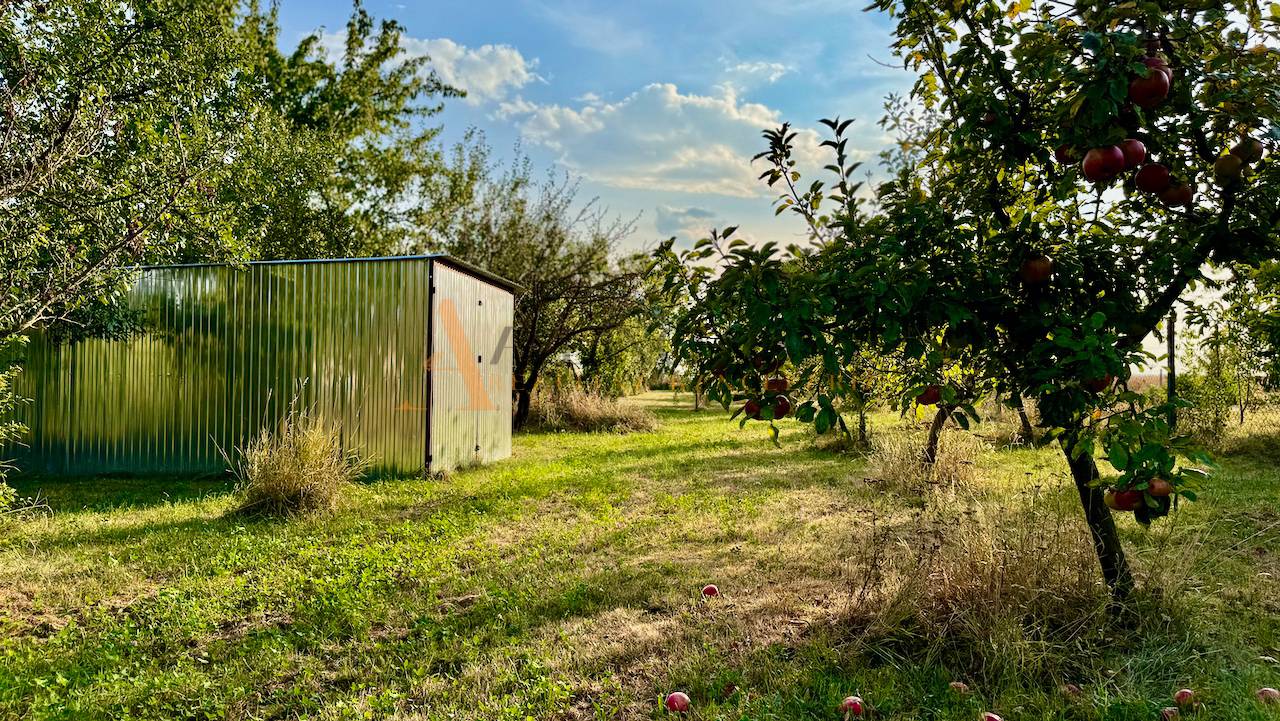 External property image