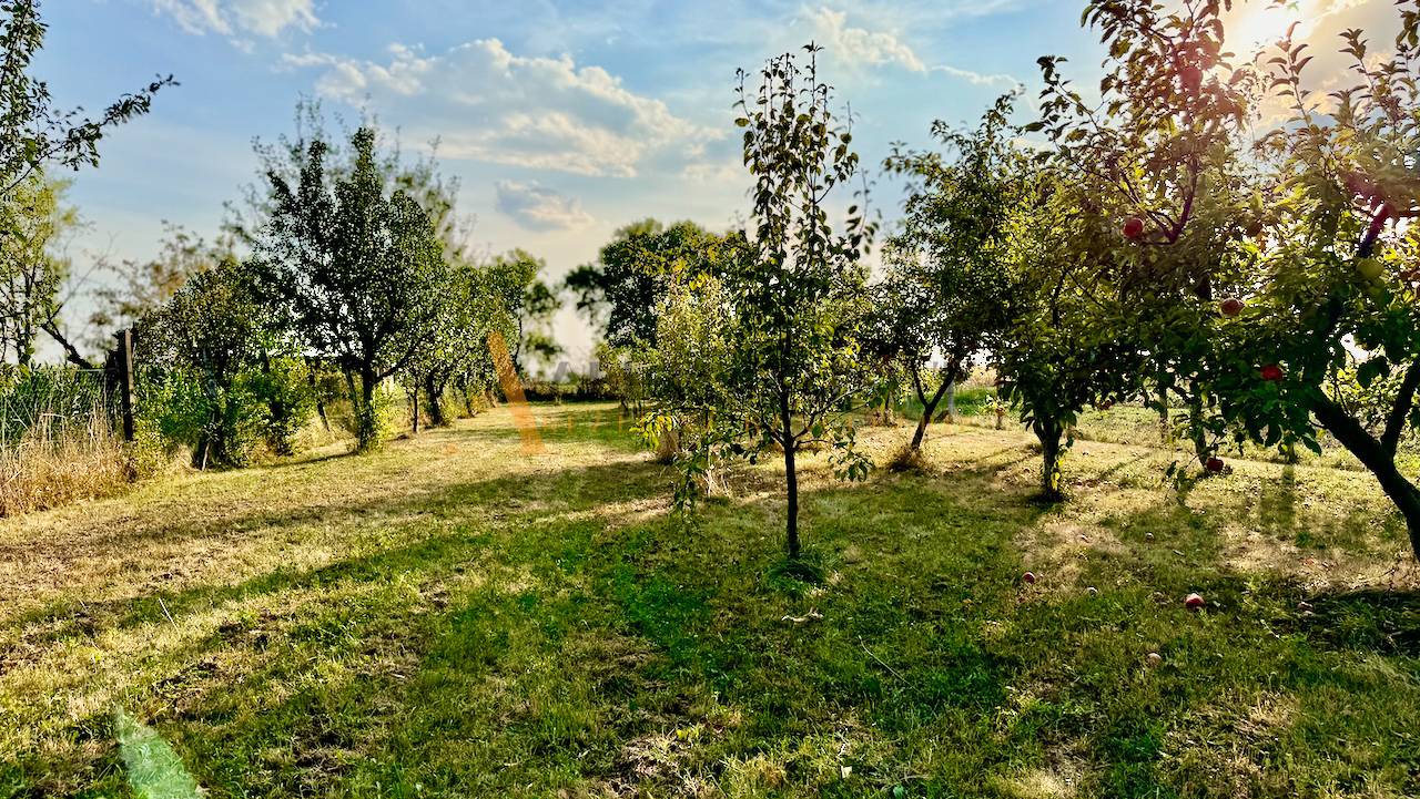 External property image