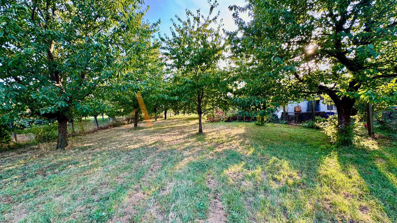 External property image