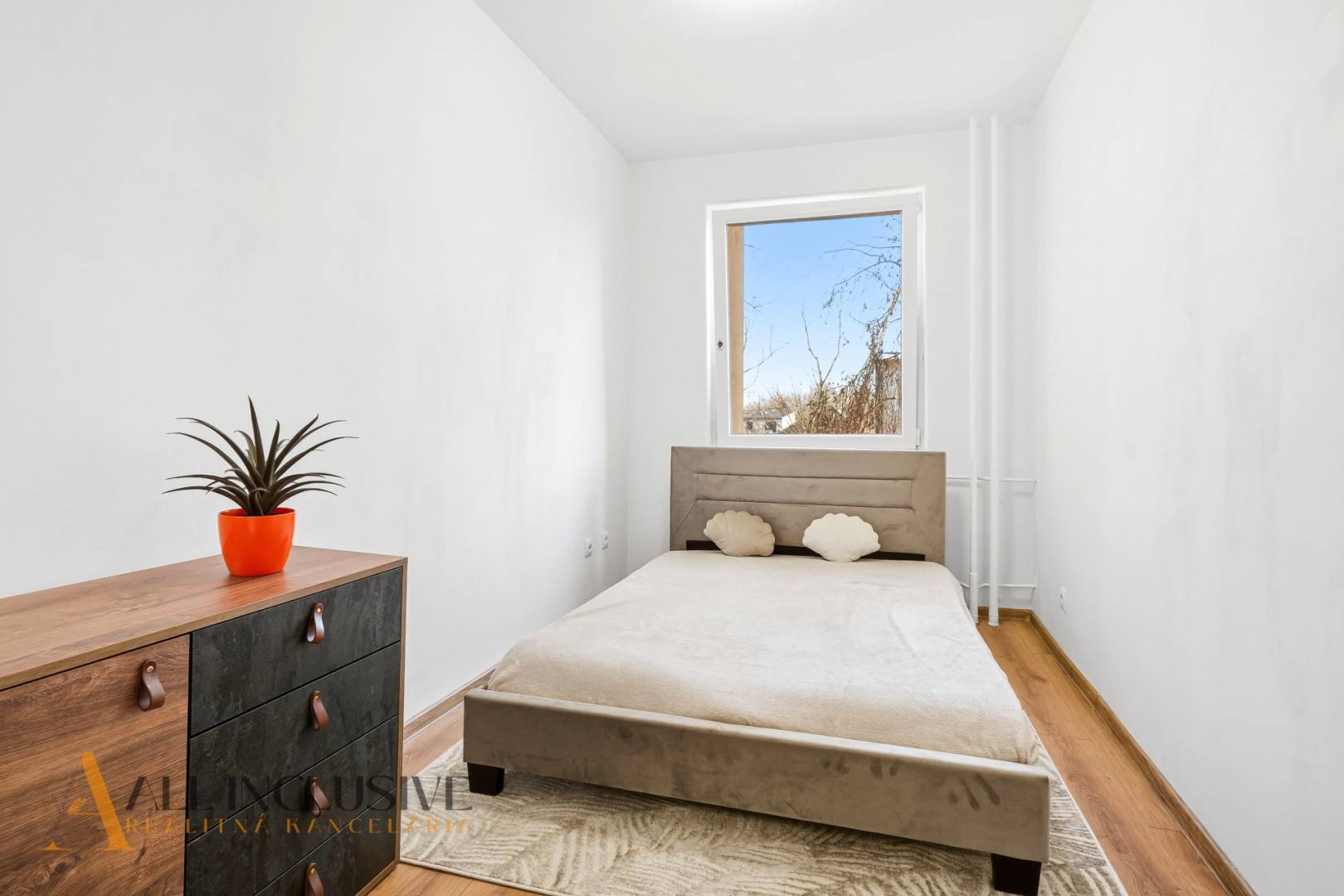 External property image