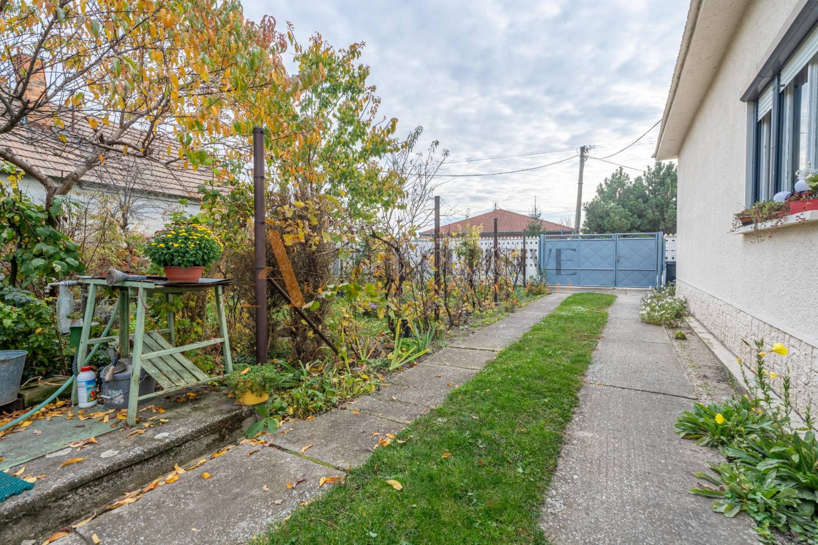 External property image