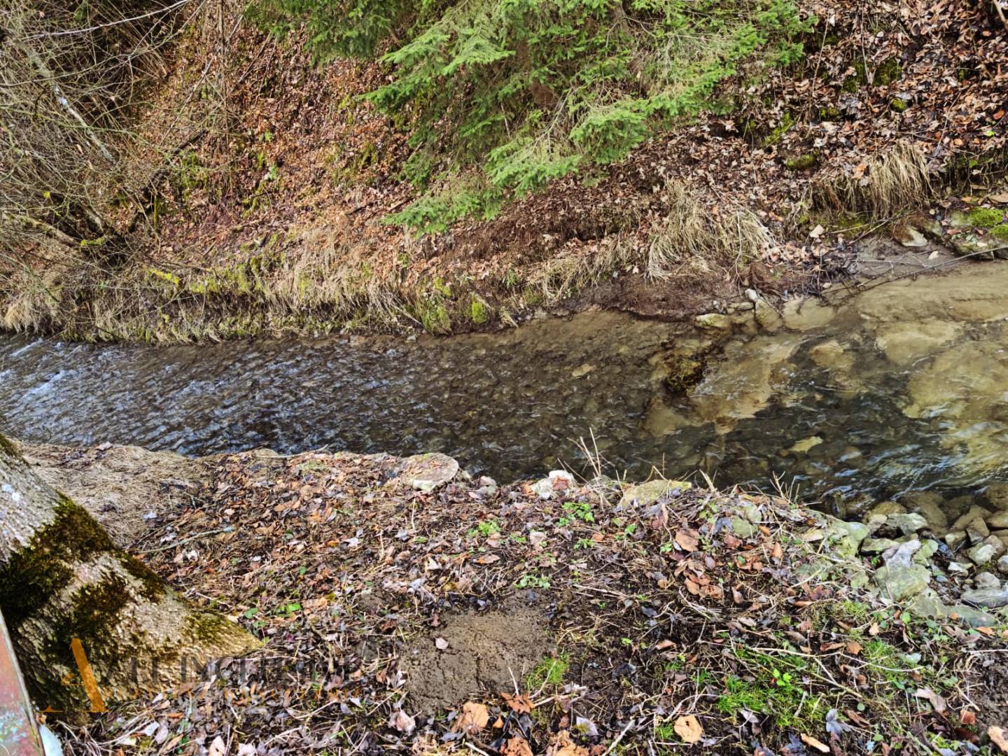 External property image