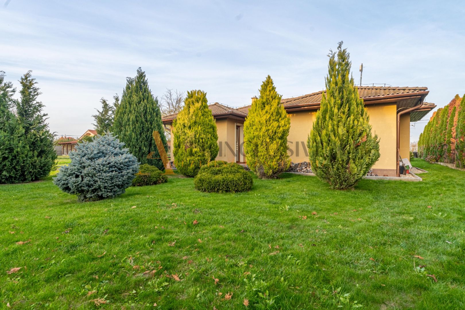 External property image