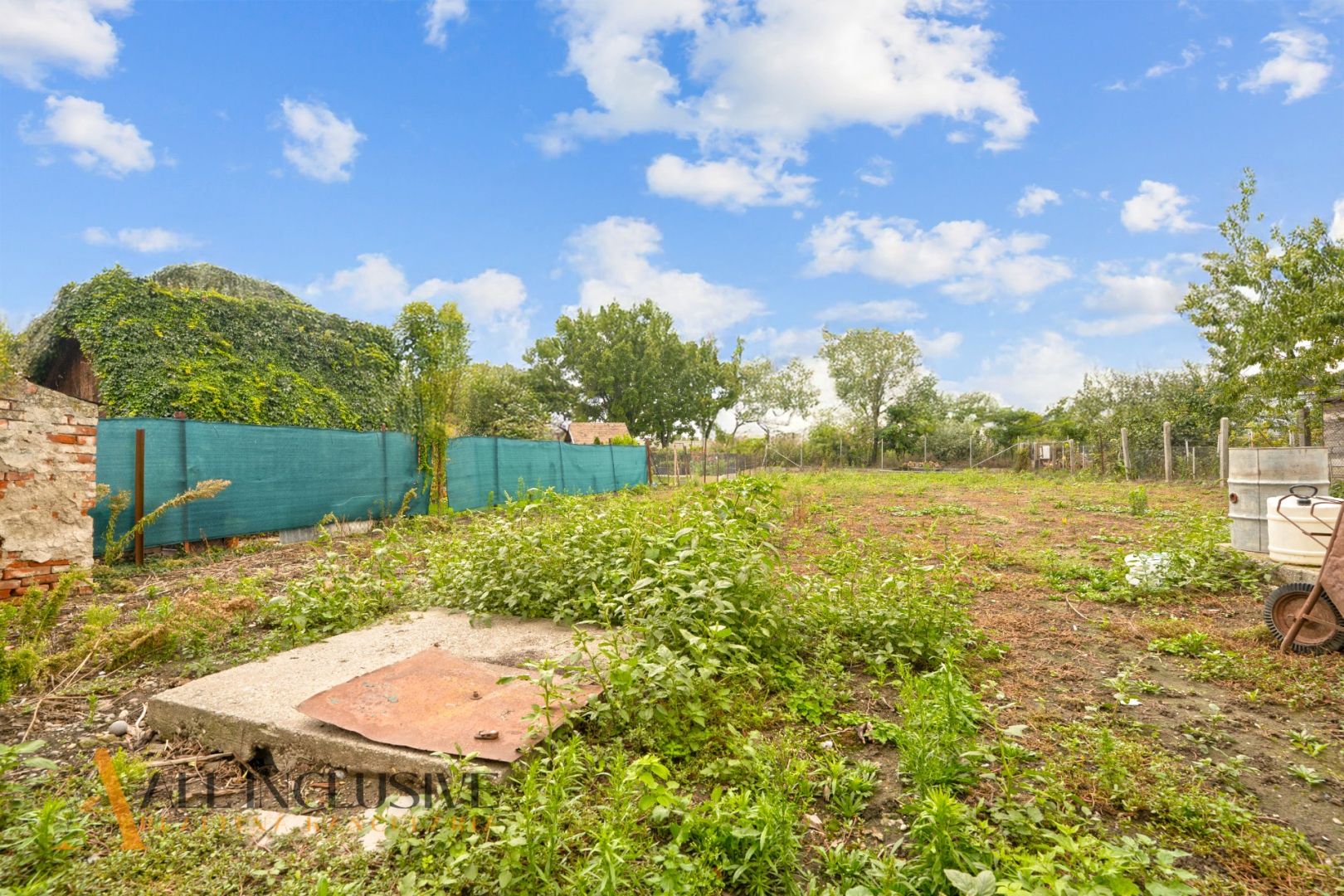 External property image