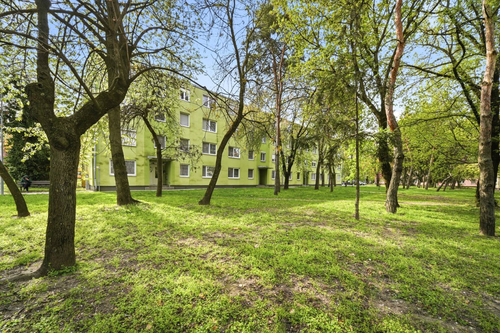 External property image