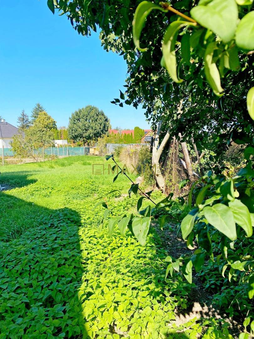 Exkluzívna šanca! Stavebný pozemok vo Vlčanoch, len na skok od Šale.